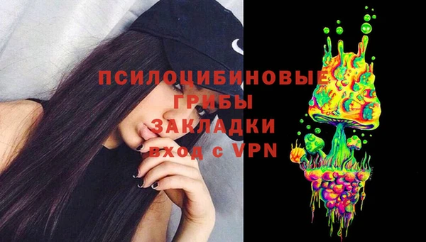 ПСИЛОЦИБИНОВЫЕ ГРИБЫ Алзамай
