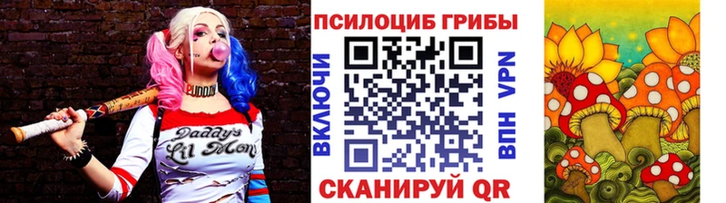 Галлюциногенные грибы прущие грибы  Кочубеевское 