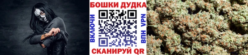 Шишки марихуана Amnesia  как найти   Кочубеевское 